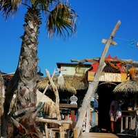 Photo de france - La plage de la Roquille et le Mango's Beach Bar